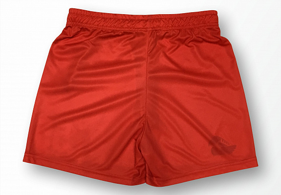 Шорты ХУ "Локомотив" (М503)