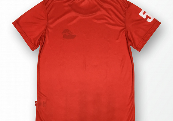 Футболка ХК "Локомотив" (М422)